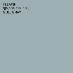 #9EAFB4 - Gull Gray Color Image